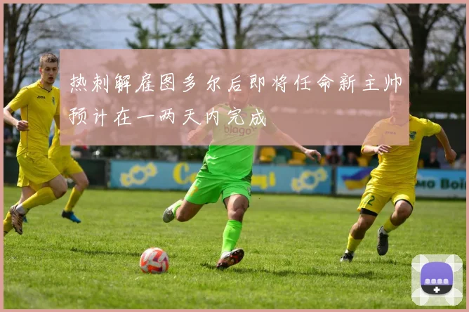 热刺解雇图多尔后即将任命新主帅预计在一两天内完成